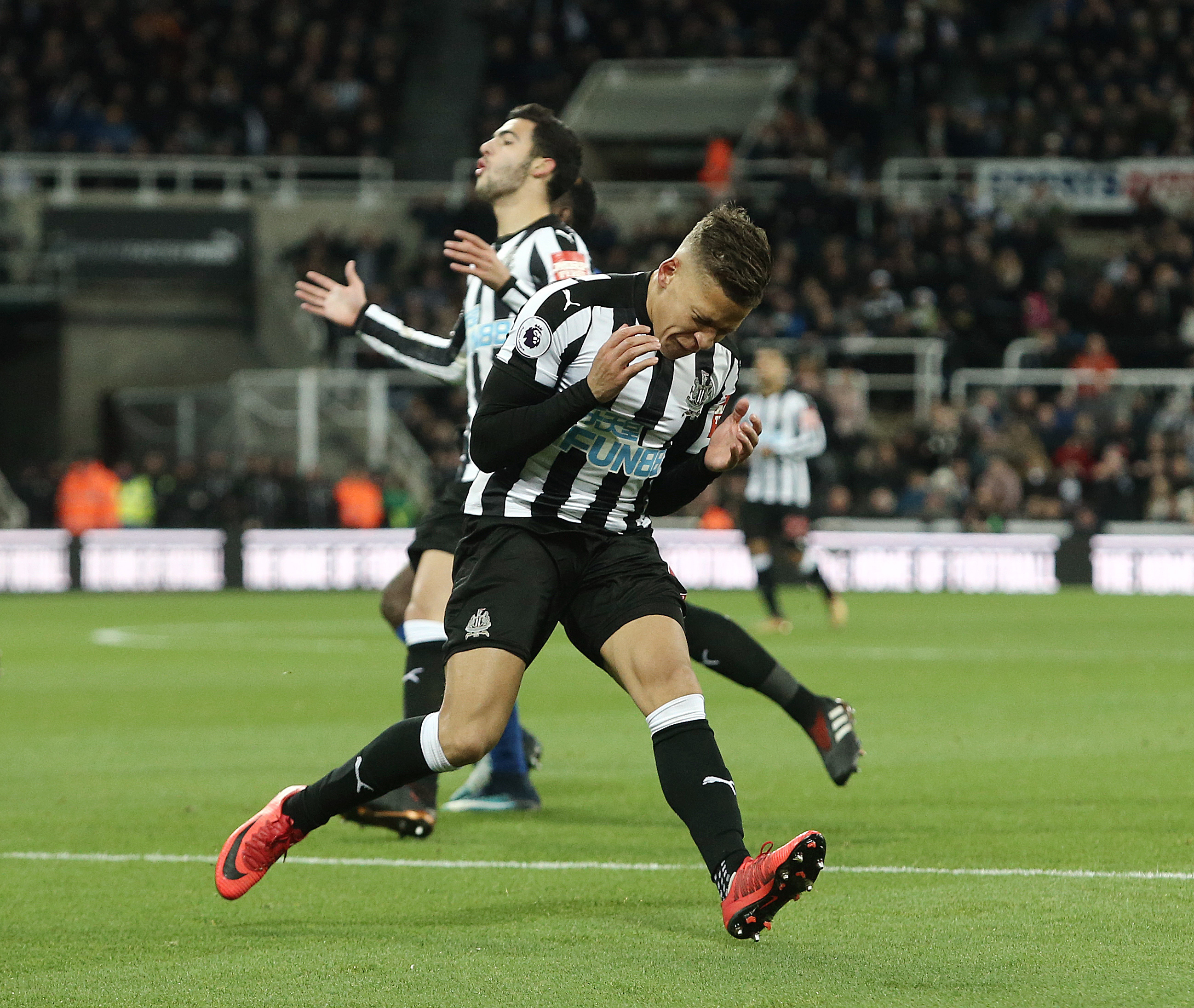 Newcastle enfrenta o Everton pela Premier League nesta quarta-feira Newcastle enfrenta o Everton pela Premier League nesta quarta-feira