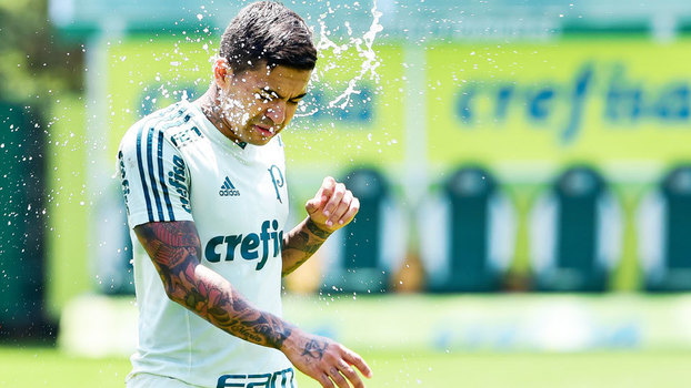Dudu Treino Palmeiras 24/11/2017 Dudu Treino Palmeiras 24/11/2017