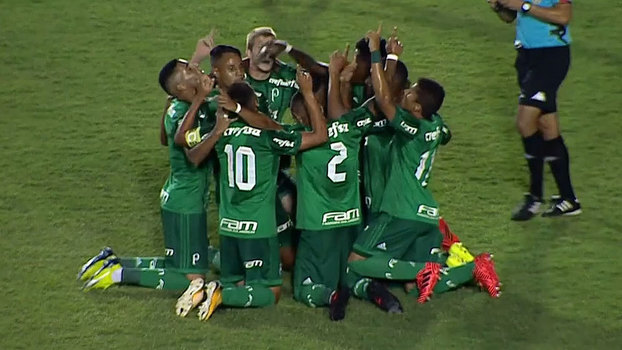 Jogadores do Palmeiras comemoram vitória contra Luverdense Jogadores do Palmeiras comemoram vitória contra Luverdense