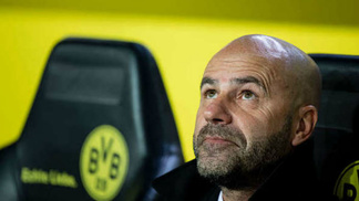 Após nova derrota, técnico do Borussia Dortmund deve ser demitido Borussia Dortmund, 2017, Peter Bosz
