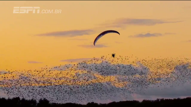 Na Dinamarca, campeão mundial de paraglider realiza sonho de voar perto de estorninhos Na Dinamarca, campeão mundial de paraglider realiza sonho de voar perto de estorninhos