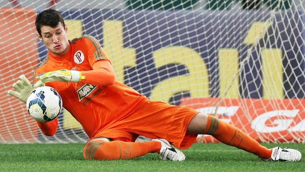 Resultado de imagem para fabio goleiro palmeiras