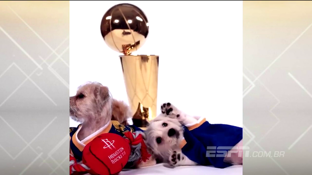 Para divulgar jogos marcantes do seu calendário, os Warriors inovaram de maneira extremamente fofa: cachorrinhos Para divulgar jogos marcantes do calendário, os Warriors inovaram de maneira extremamente fofa: cachorrinhos