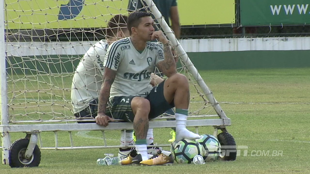 Sequência para definir meta final e visita de Hernanes a Jean: André Linares mostra como foi o dia do Palmeiras Sequência para definir meta final e visita de Hernanes a Jean: André Linares mostra como foi o dia do Palmeiras