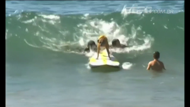 Fofura! Veja como foi o segundo campeonato mundial de surfe para cães Fofura! Veja como foi o segundo campeonato mundial de surfe para cães