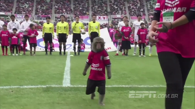 Bizarrice liberada: no Japonês, macaco uniformizado tem a honra de entregar bola ao juiz no pré-jogo Bizarrice liberada: no Japonês, macaco uniformizado tem a honra de entregar bola ao juiz no pré-jogo